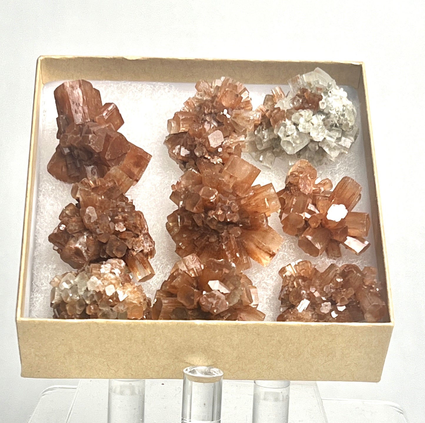 Wholesale Lot Aragonite Mini Cluster