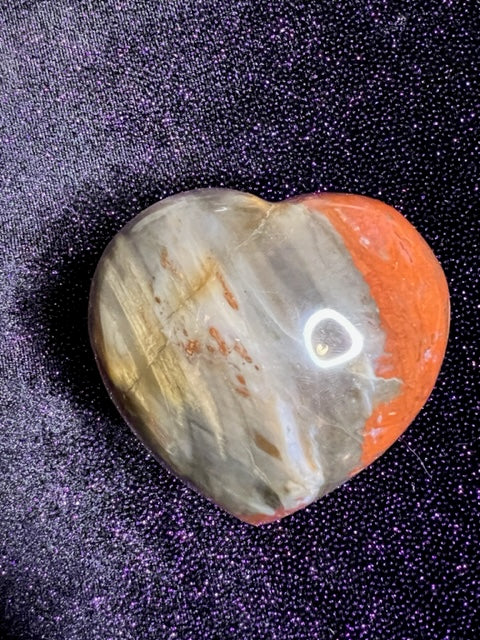 Petrified Wood Heart Shape