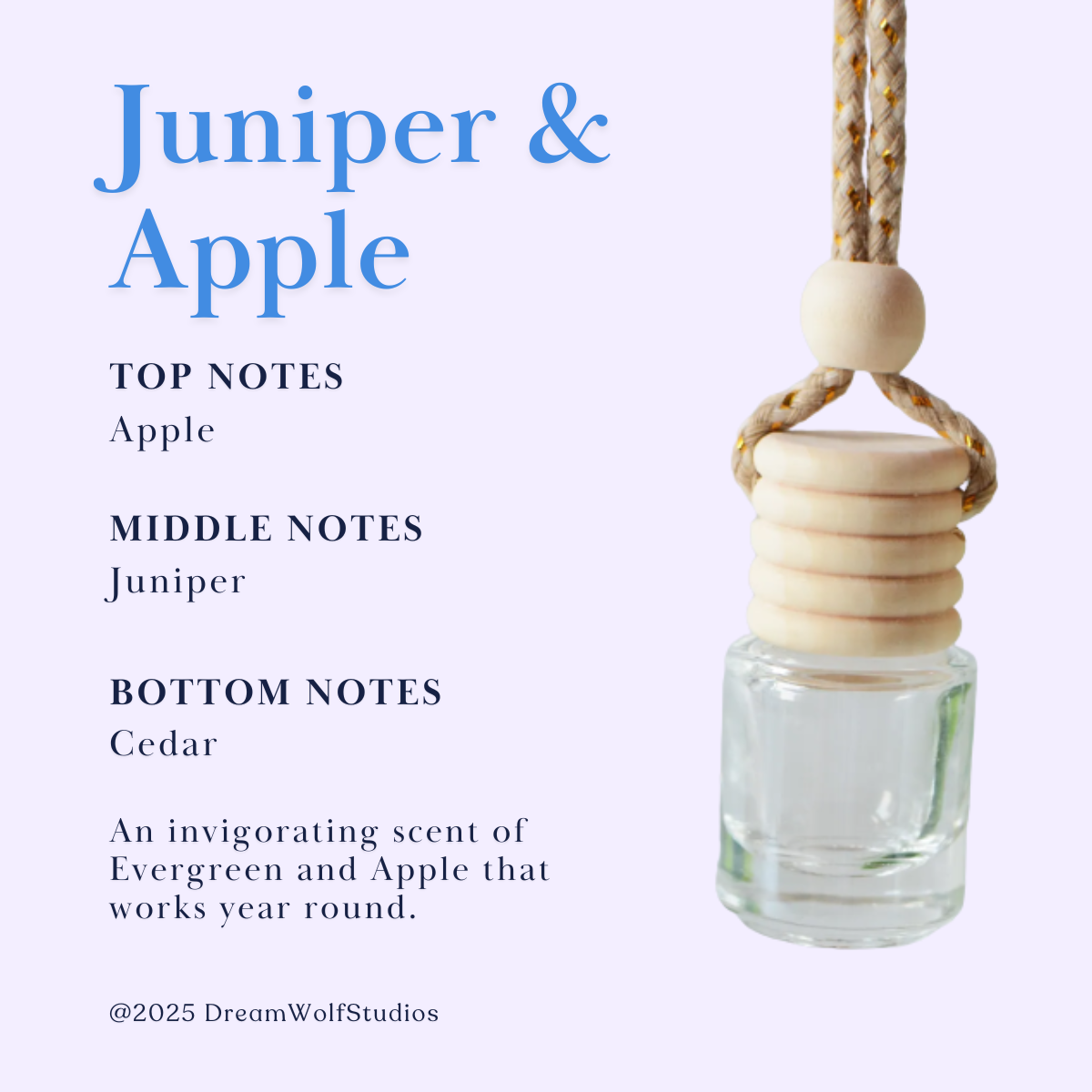 Juniper & Apple Car Diffuser