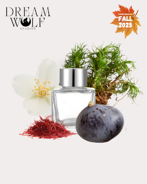 Fall 2025 Fragrance Collection - Diffuser Oils