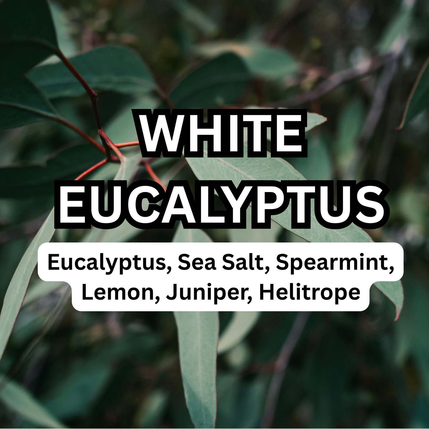 White Eucalyptus Scented Aroma Beads
