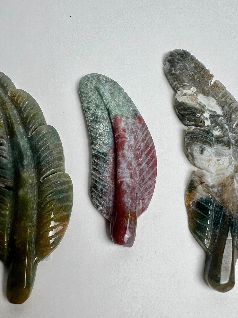 Wholesale Lot of 3x Ocean Jasper Feather