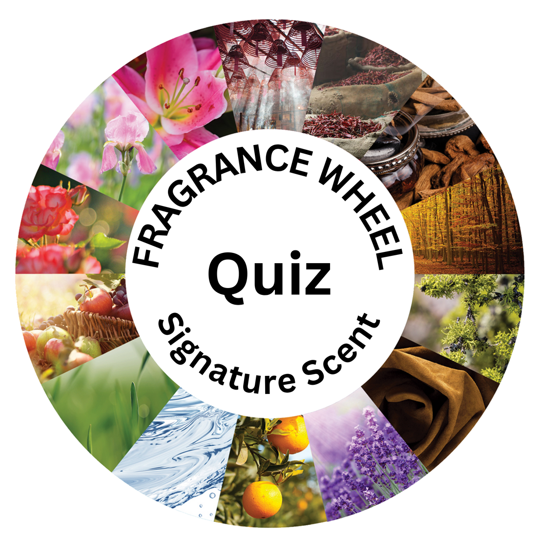 Fragrance Finder - Signature Scent Quiz