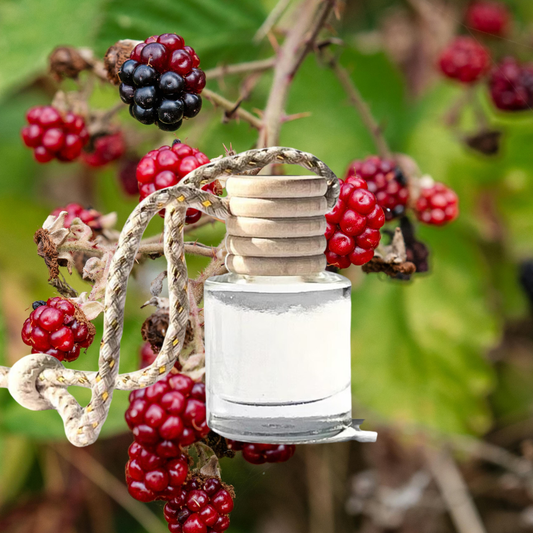 Amber Lace Diffuser Oils - Spring 2026