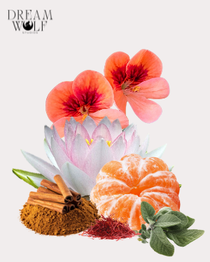 Atlas Diffuser Oils - Spring 2026