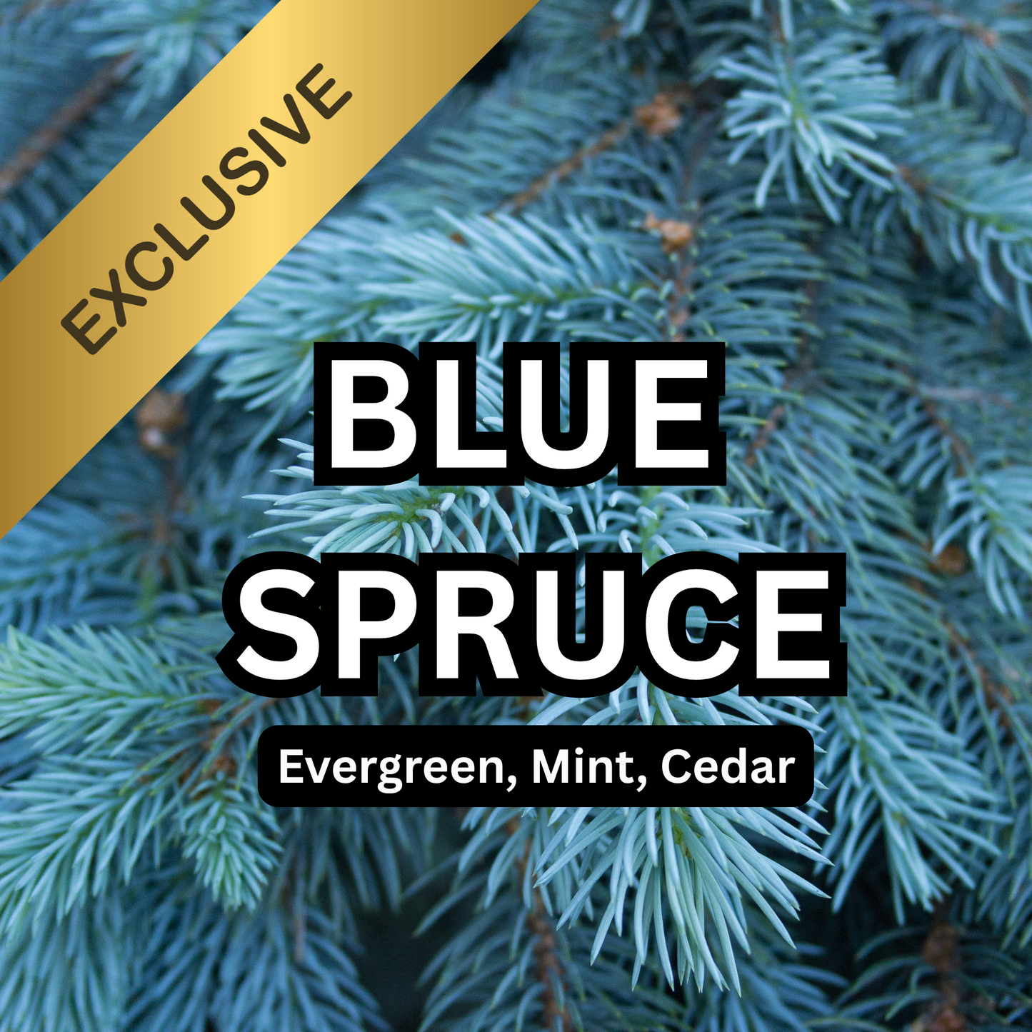 Blue Spruce Scented Aroma Beads
