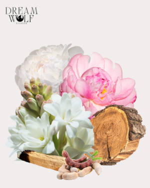 Gilded Diffuser Oils - Spring 2026