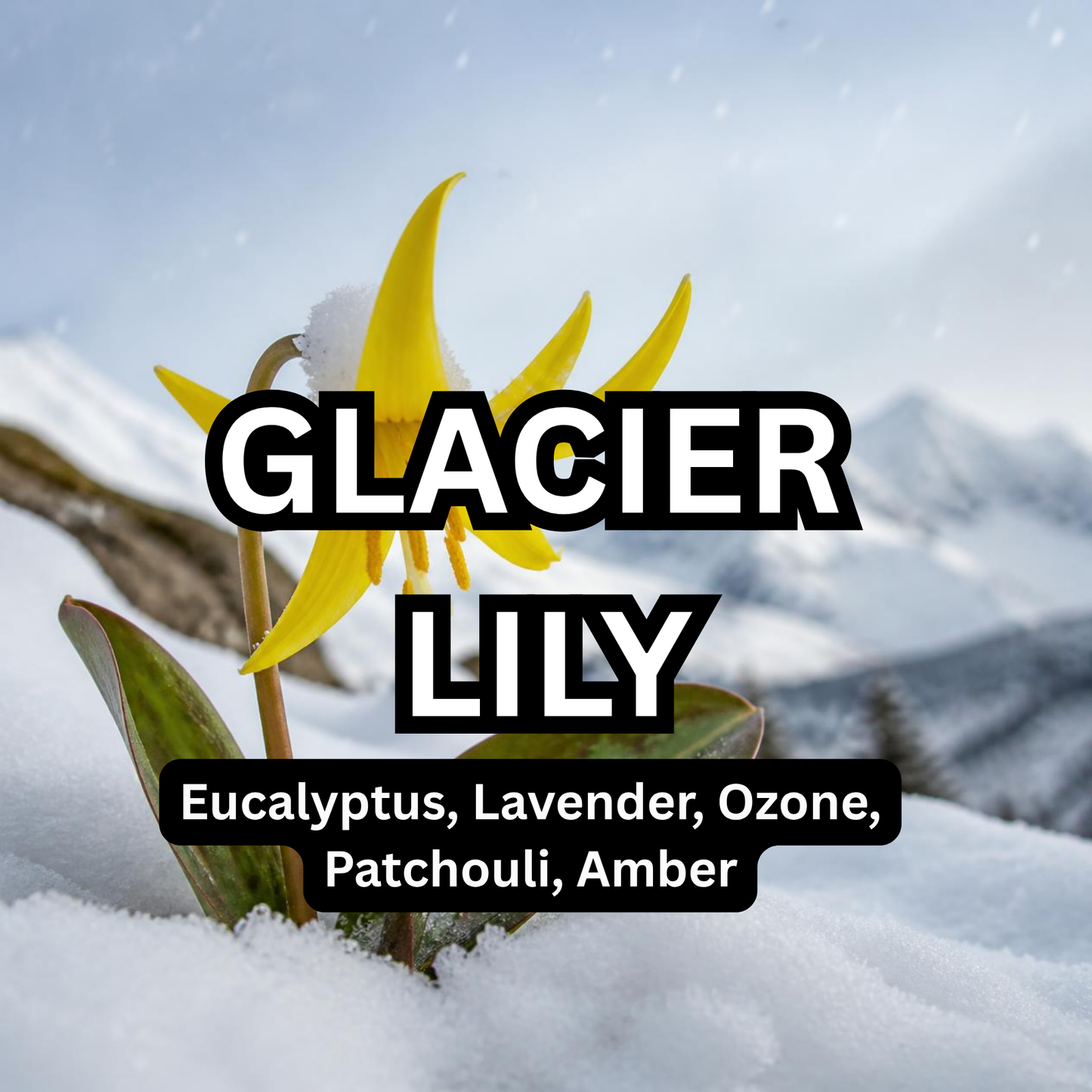 Glacier Lily Scented Aroma Beads