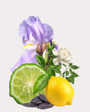 Golden Copal Diffuser Oils