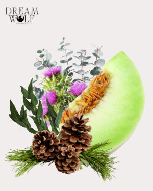 Highlands Diffuser Oils - Summer 2026