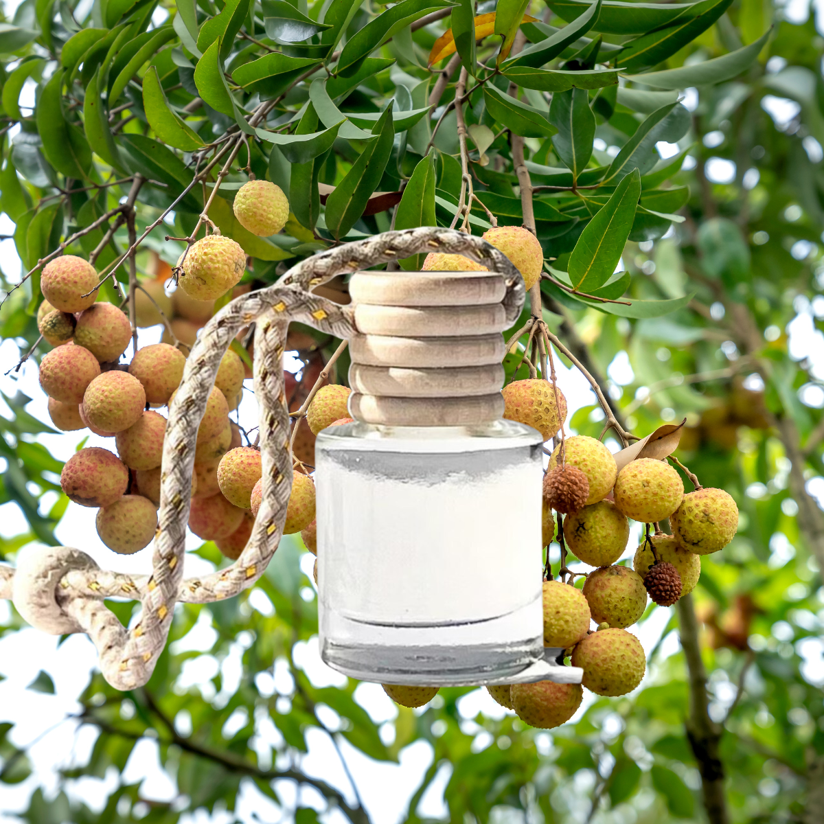Island Sunset Diffuser Oils - Spring 2026