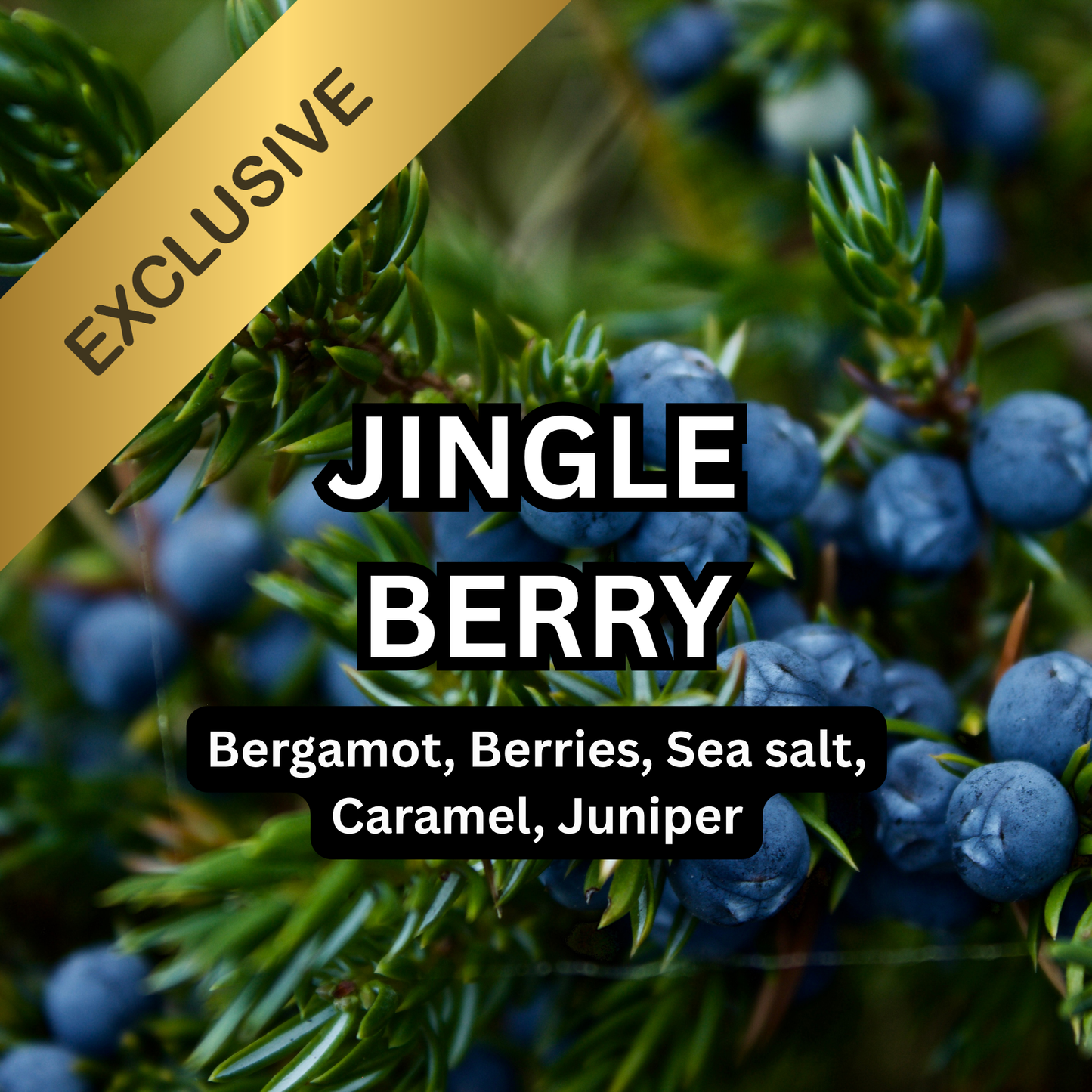 Jingle Berry Scented Aroma Beads