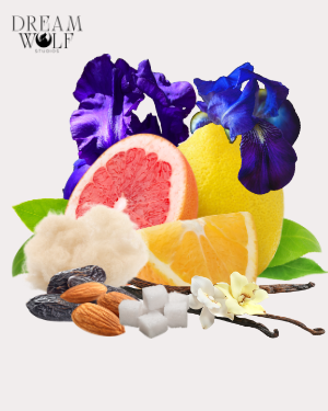 Melody Diffuser Oils - Spring 2026