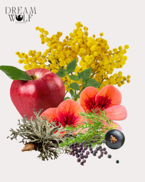 Monarch Diffuser Oils - Coming Soon (Summer '26)