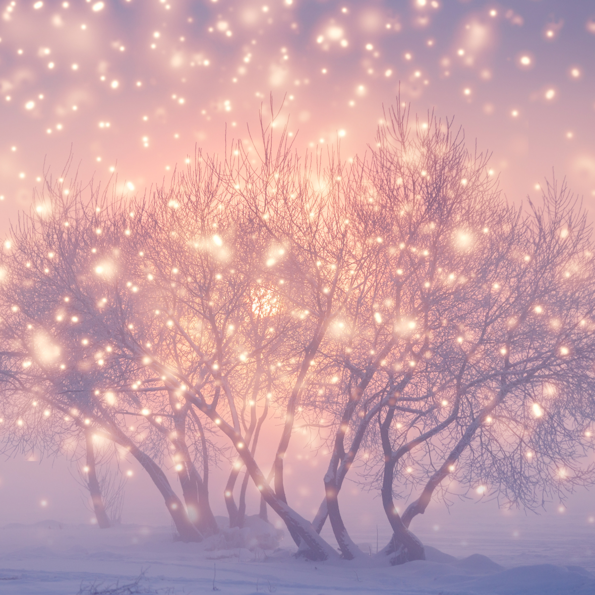 Pixie Dust Diffuser Oils - Summer 2026
