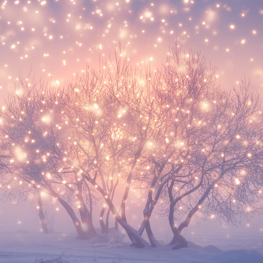 Pixie Dust Diffuser Oils - Summer 2026