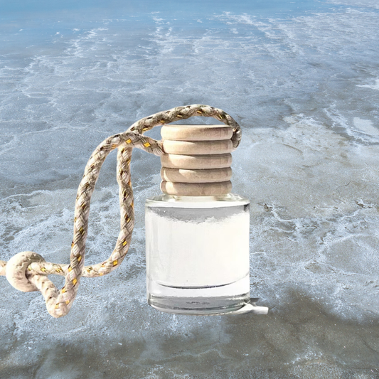 Salt & Sky Diffuser Oils - Spring 2026