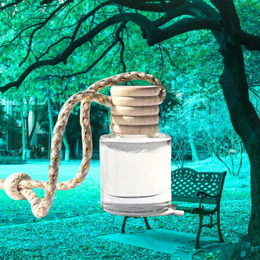 Sanctuary Diffuser Oils - Spring 2026