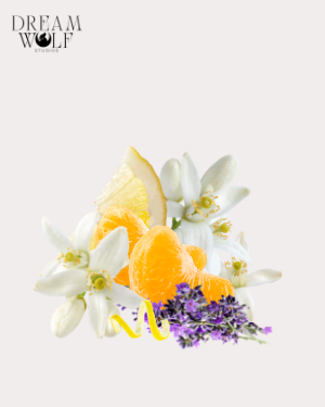 Sunscape Diffuser Oils - Summer 2026