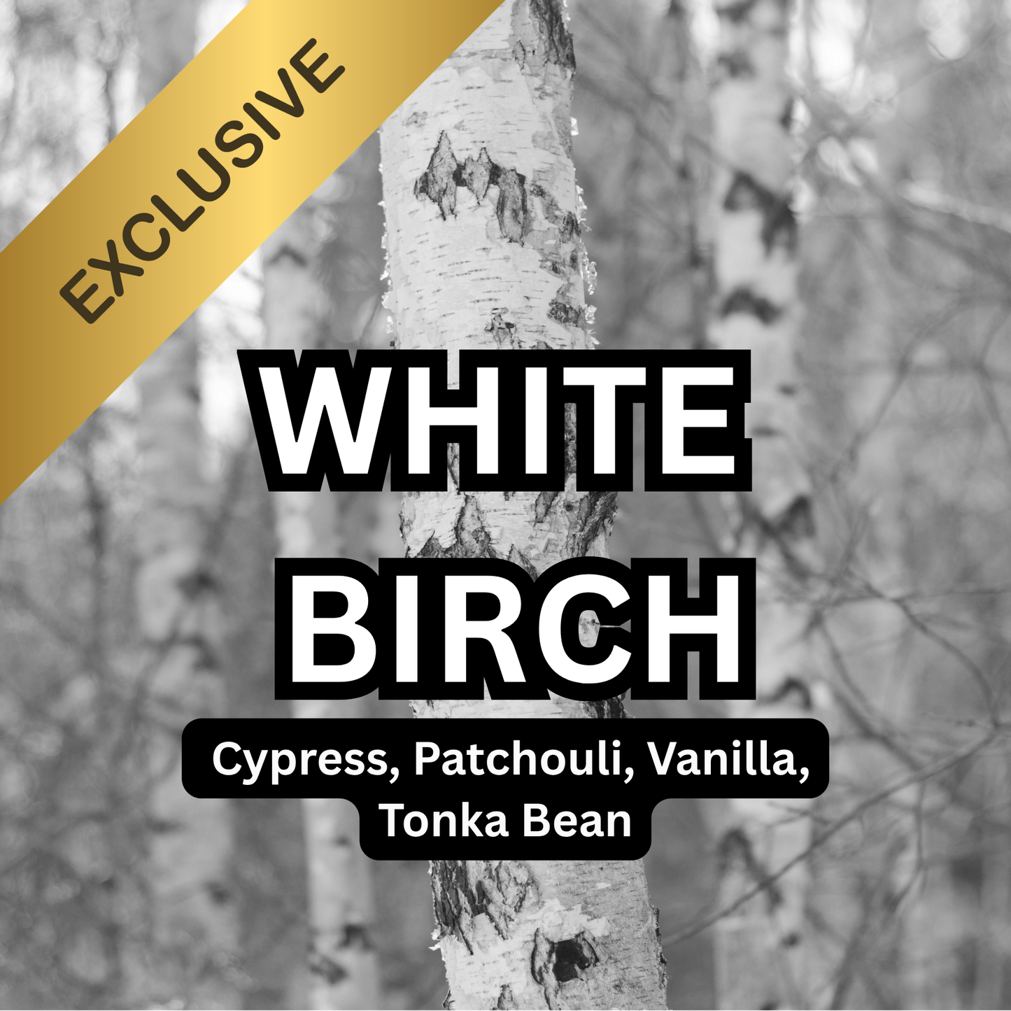 White Birch Scented Aroma Beads