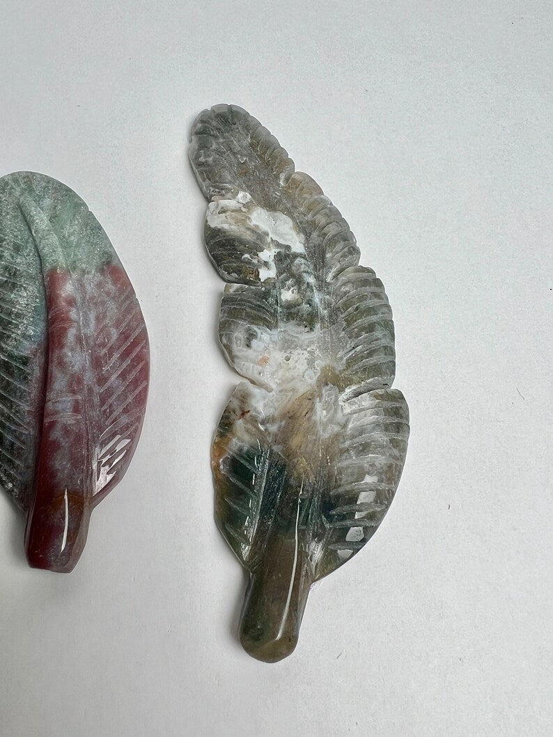 Wholesale Lot of 3x Ocean Jasper Feather