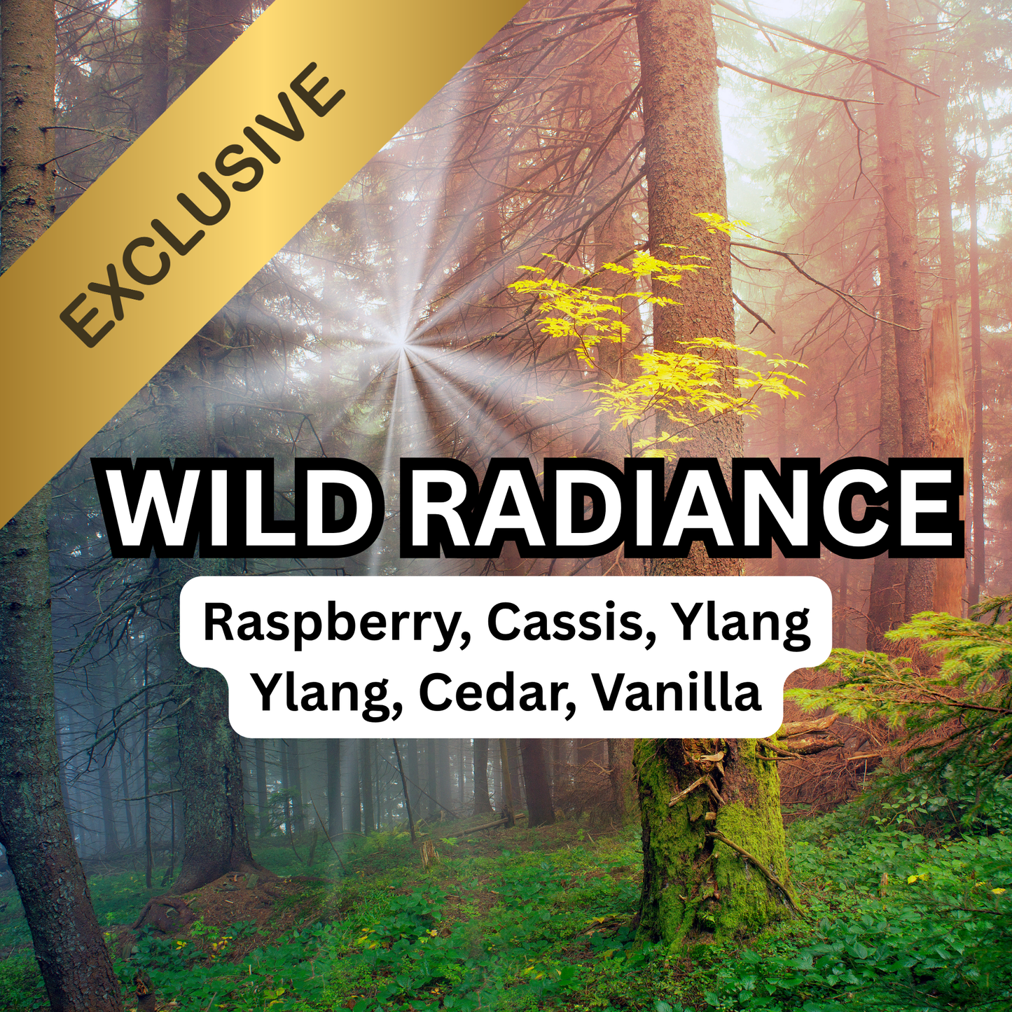 Wild Radiance Scented Aroma Beads