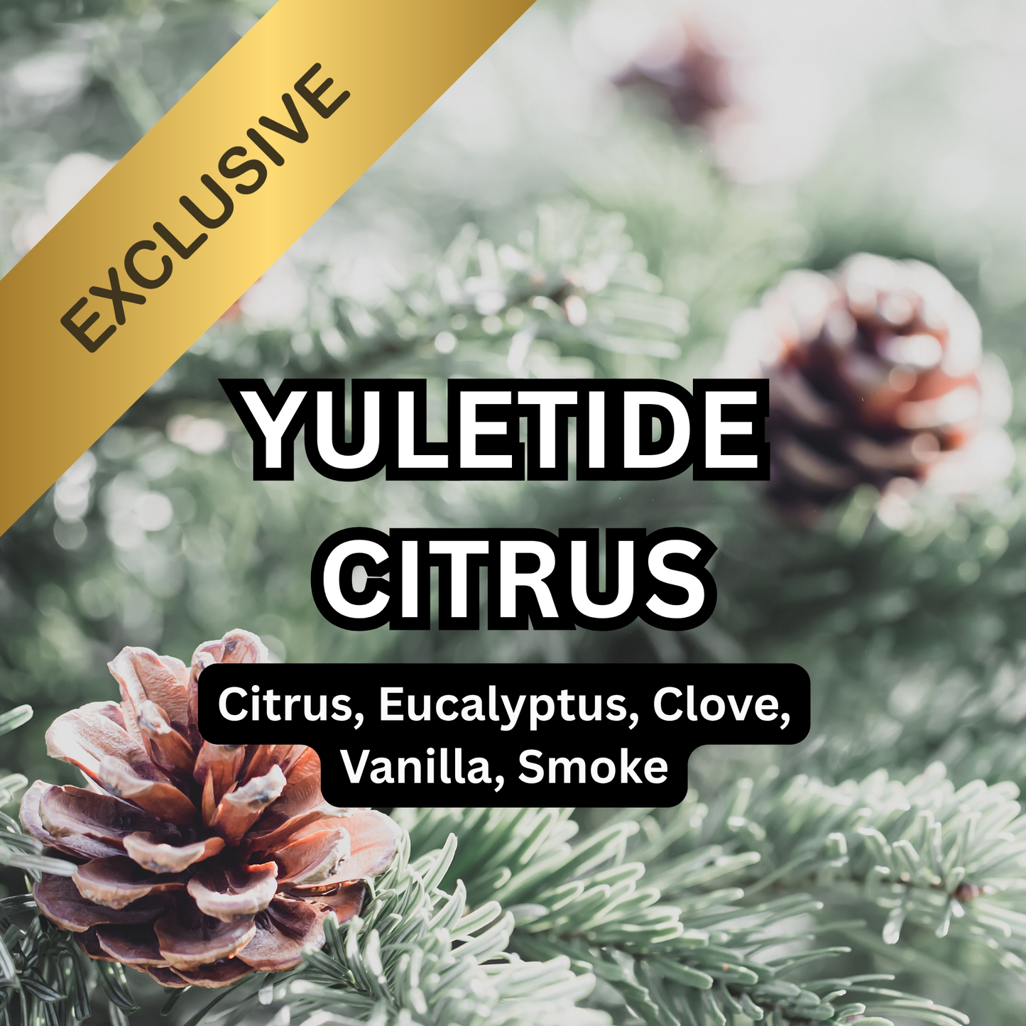 Yuletide Citrus Scented Aroma Beads