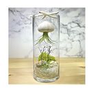 Floating Jellyfish Terrarium