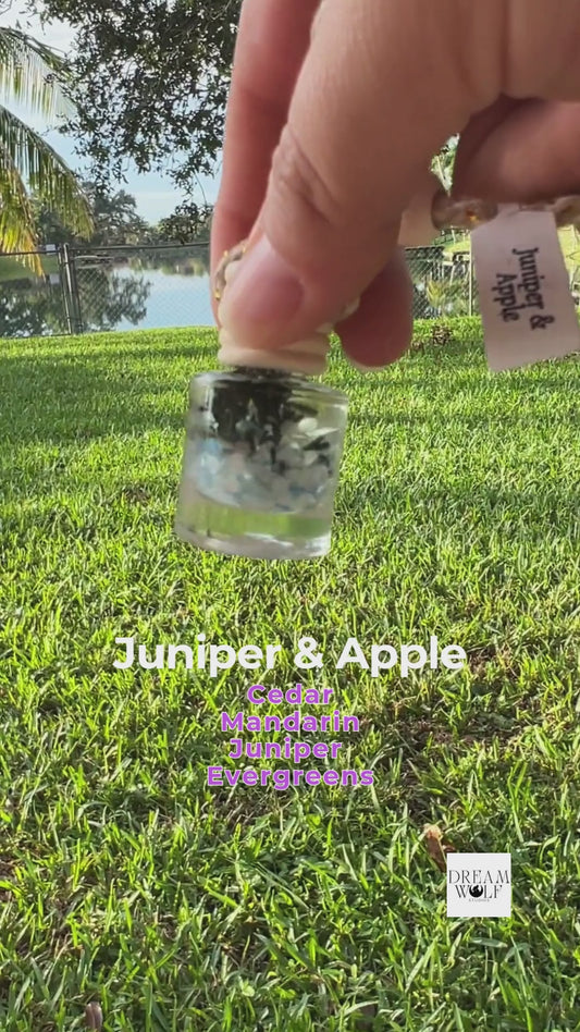 Juniper & Apple Car Diffuser