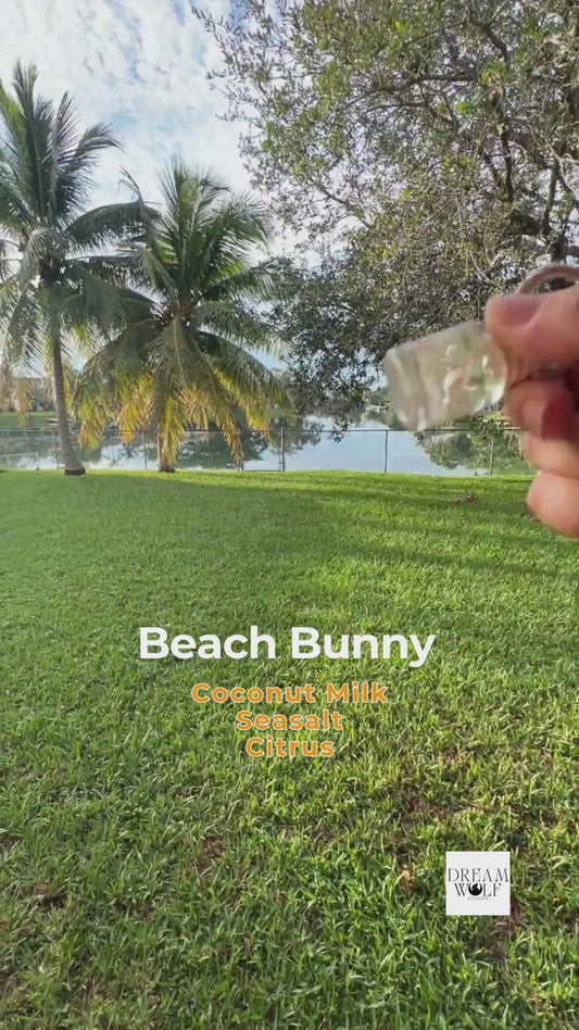 Beach Bunny Car Diffuser